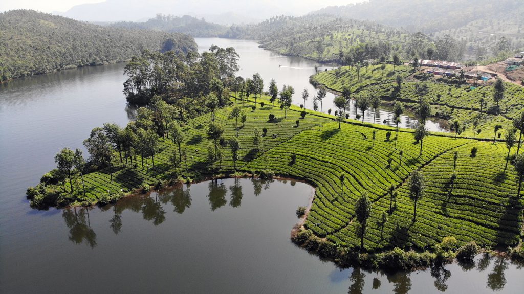 places to visit in munnar